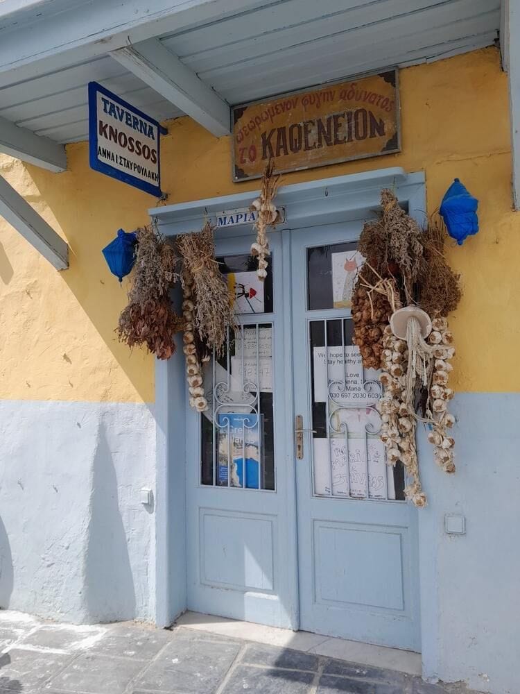 20230322_114938 (1).jpg